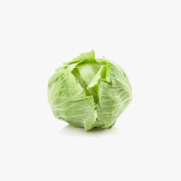 Cabbage Fresh