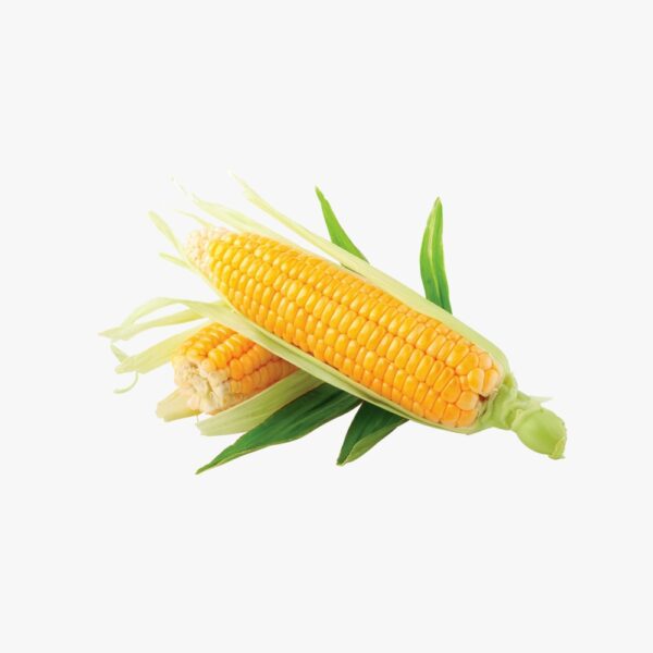 Organic Corn